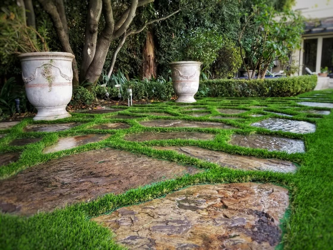 turf around stepping stones natural look