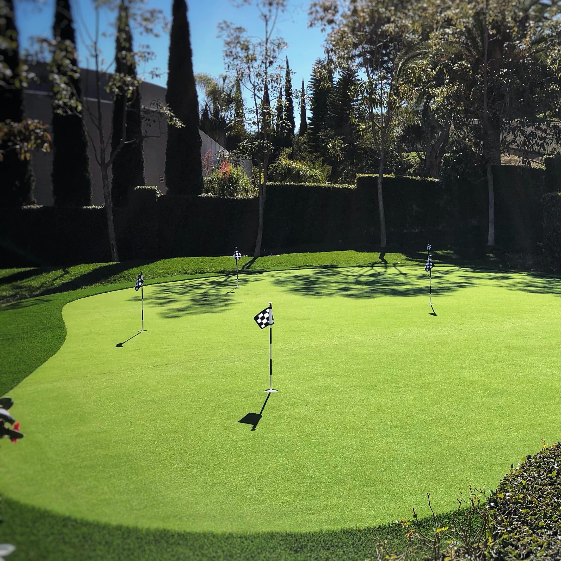 putting green large area