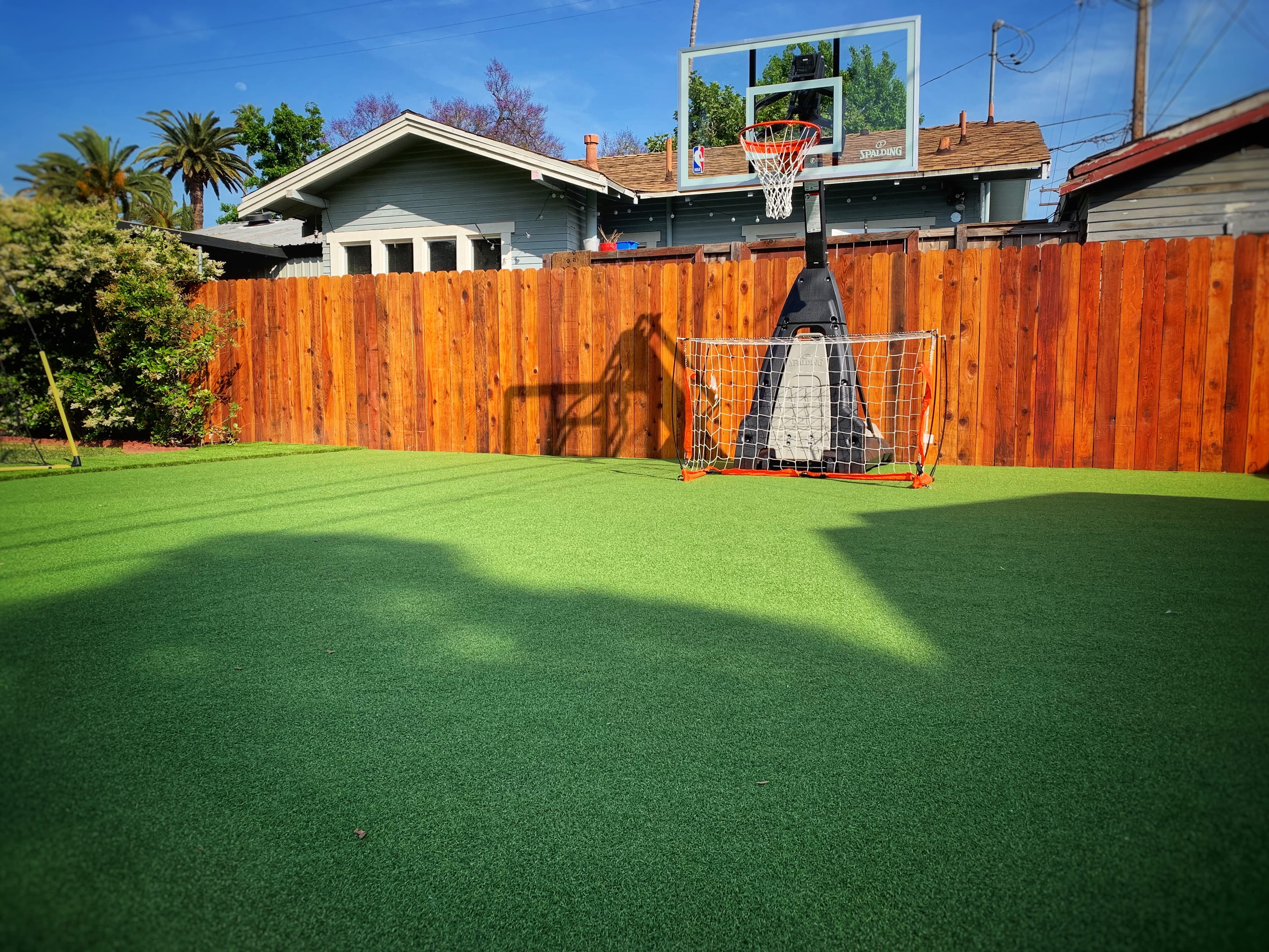 sports and putting green surface