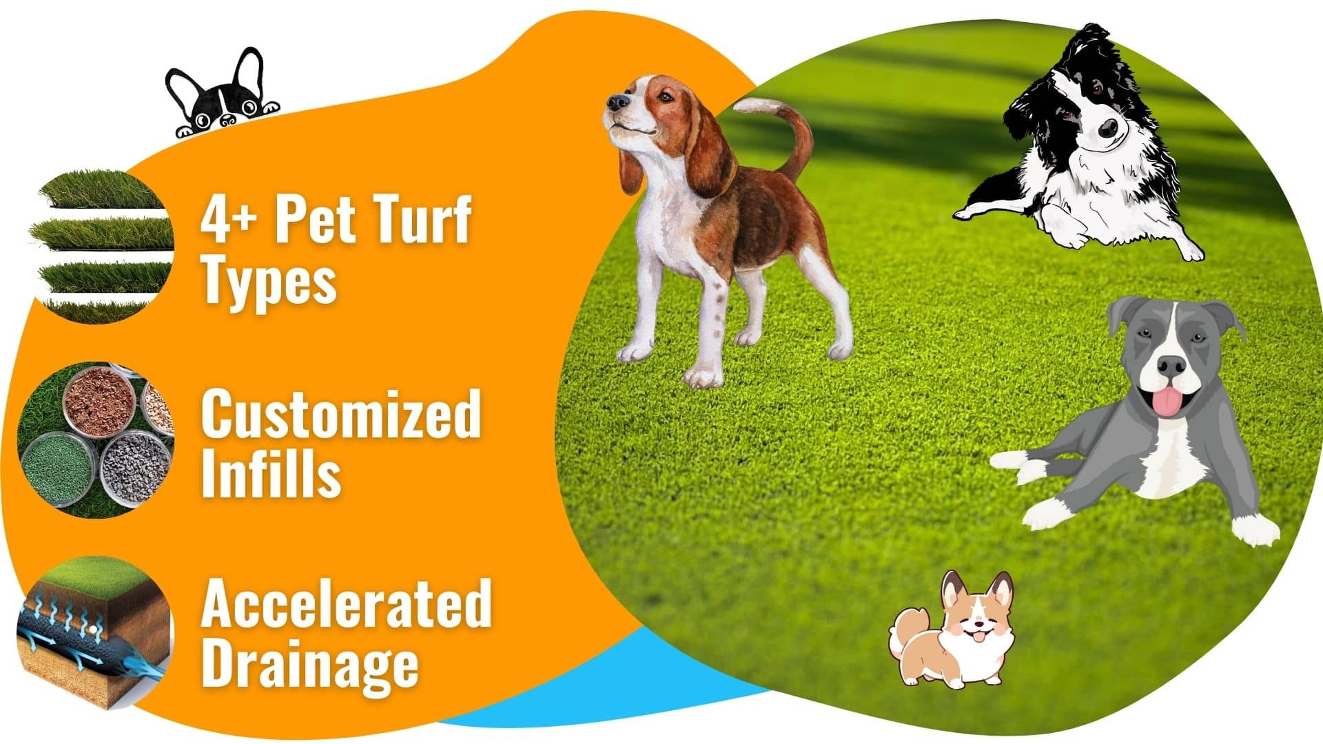 Pet Turf Types, Infills, Drainage