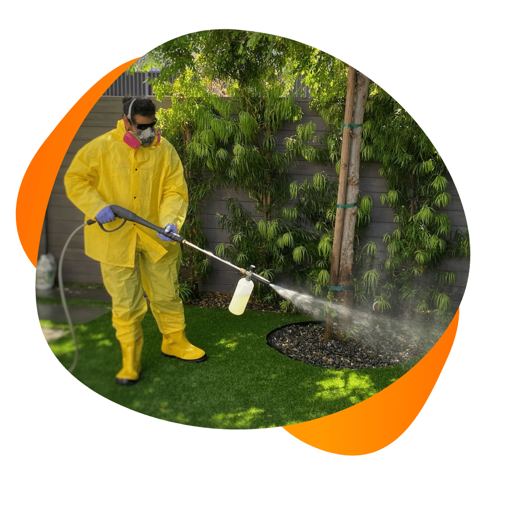 Efficient Cleaning Turf Cleaning Service