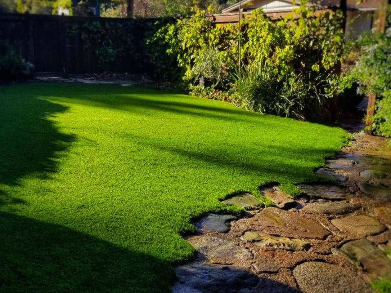 artificial grass around stepping stones